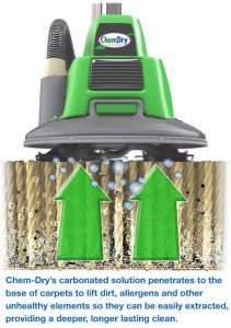how-the-powerhead-works-to-clean-carpets