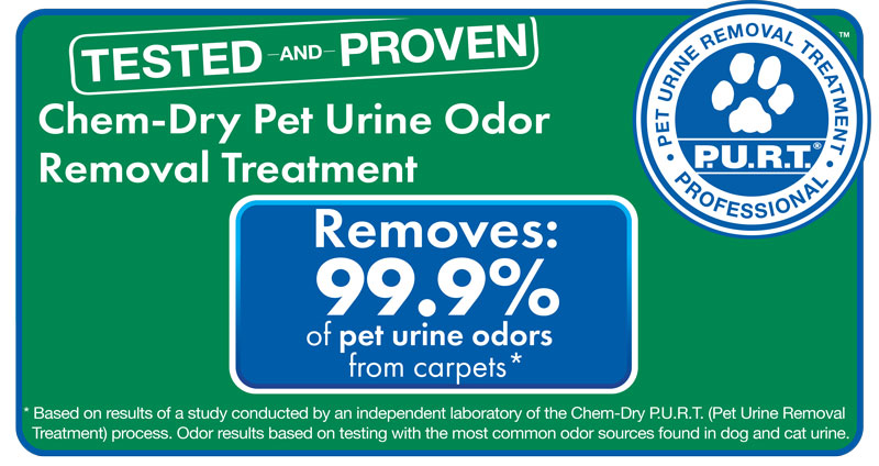 Pet Urine Treatment 1